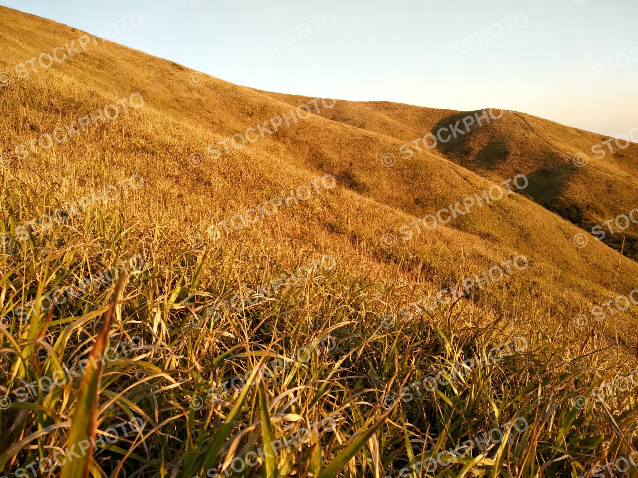Remove watermark from photo: diagonal stock watermark erased — before